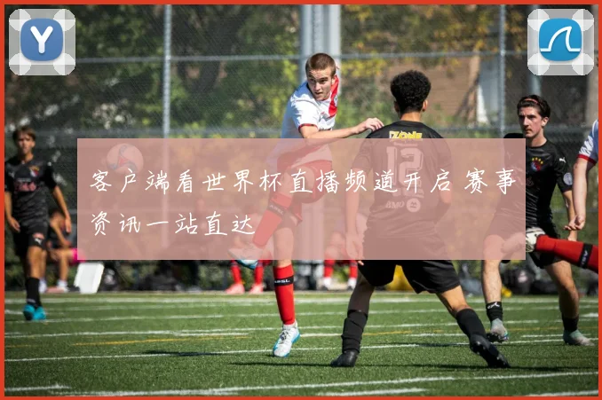 客户端看世界杯直播频道开启 赛事资讯一站直达